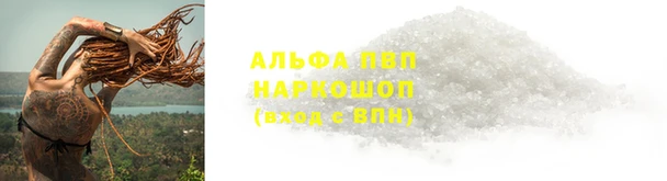 винт Надым