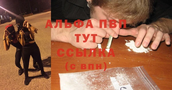 винт Надым