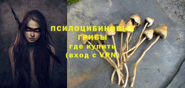 спиды Навашино
