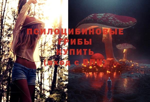 винт Надым